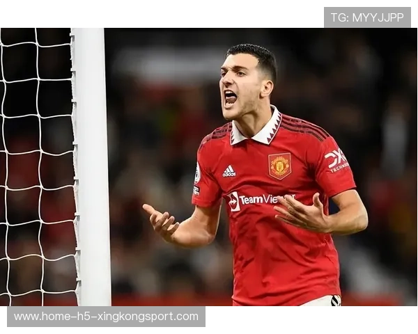 曼联继续强化青训，年轻球员逐步成为核心力量